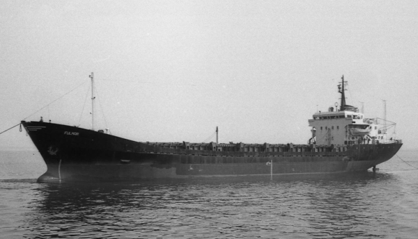 Fulmar por T. Diedrich Fulmar por T. Diedrich